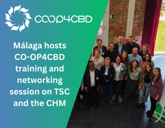 Featured image for Málaga hosts CO-OP4CBD training and networking session on the Clearing-House Mechanism and Technical and Scientific Cooperation in the context of the UN CBD