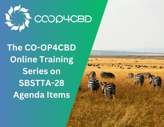 Featured image for The CO-OP4CBD Online Training Series on SBSTTA-28 Agenda Items