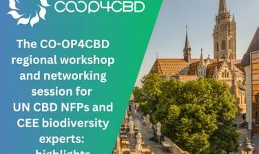Featured image for The CO-OP4CBD regional workshop and networking session for Central and Eastern European UN CBD National Focal Points and biodiversity experts: highlights