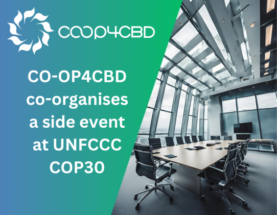 Featured image for CO-OP4CBD co-organises a side event at UNFCCC COP30