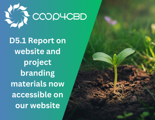 Featured image for D5.1 Report on website and project branding materials now accessible on our website