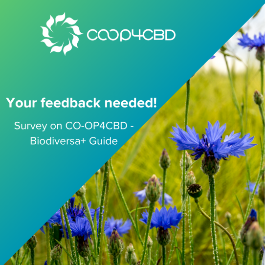 Featured image for Preview of the CO-OP4CBD - Biodiversa+ Guide to UN CBD Processes Now Available - Your Feedback Needed!