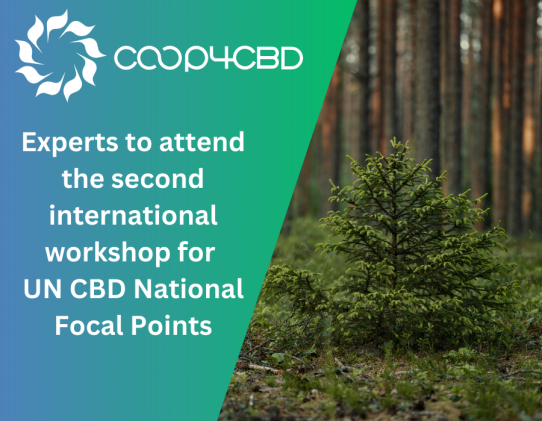 Featured image for Experts to attend the second international workshop for UN CBD National Focal Points
