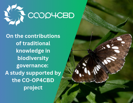 Featured image for On the contributions of traditional knowledge in biodiversity governance: A study, supported by the CO-OP4CBD project
