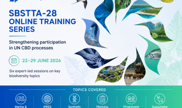 Featured image for Registration Open: CO-OP4CBD Online Training Series on SBSTTA-28 Agenda Items