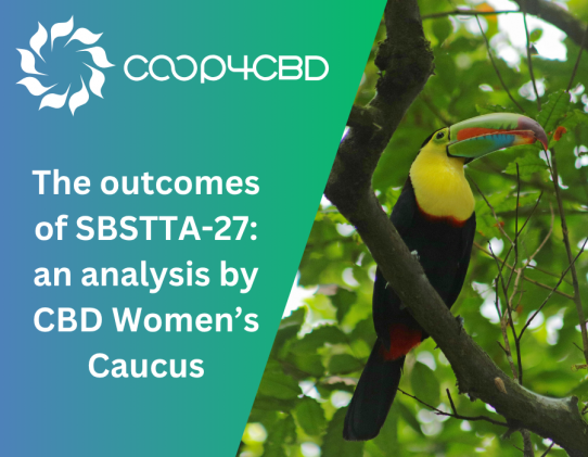 Featured image for The outcomes of SBSTTA-27: an analysis by CBD Women’s Caucus