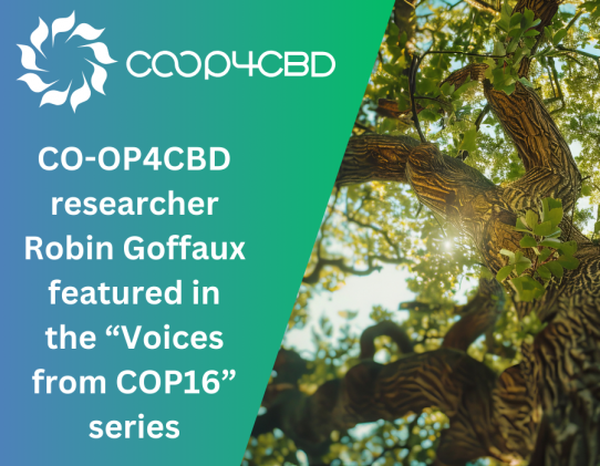 Featured image for CO-OP4CBD researcher Robin Goffaux Featured in the “Voices from COP16” series