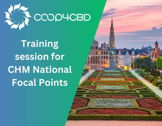 Featured image for The National Focal Points of the CBD Clearing House Mechanism prepare for a CO-OP4CBD’s training session in Brussels