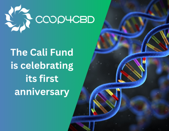 Featured image for The Cali Fund is celebrating its first anniversary