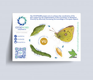 Sticker sheet preview image