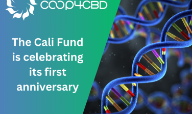 Featured image for The Cali Fund is celebrating its first anniversary