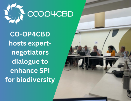 Featured image for CO-OP4CBD hosts expert-negotiators dialogue to enhance science-policy interface for biodiversity