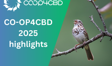 Featured image for CO-OP4CBD highlights of 2025
