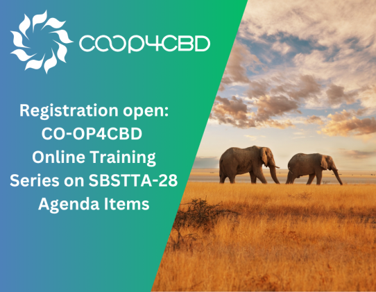 Featured image for Registration Open: CO-OP4CBD Online Training Series on SBSTTA-28 Agenda Items