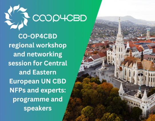 Featured image for Upcoming CO-OP4CBD regional workshop and networking session for Central and Eastern European UN CBD NFPs and biodiversity experts: programme and speakers
