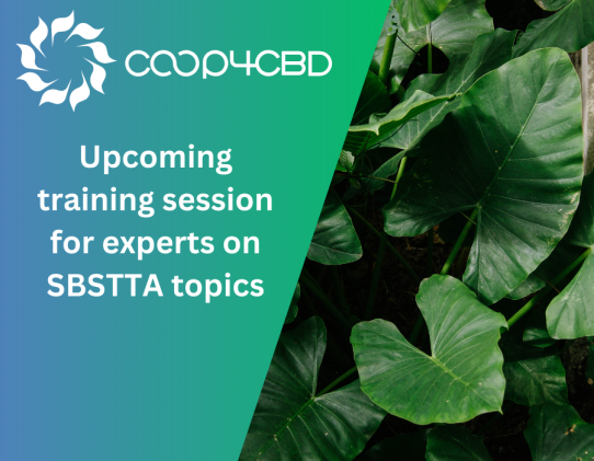 Featured image for Upcoming training session for experts on SBSTTA topics