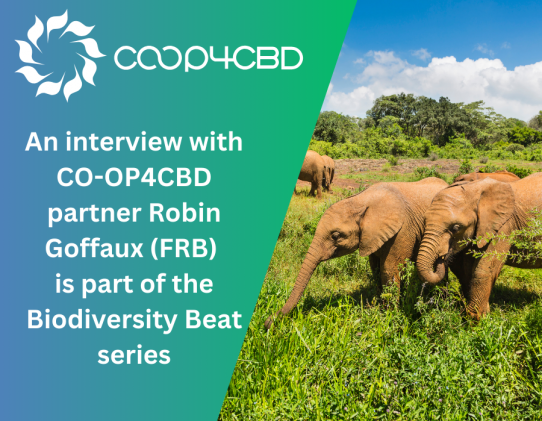 Featured image for Biodiversity Beat: How CO-OP4CBD Makes a Difference in Overcoming the Challenges of Expert Involvement in CBD Processes