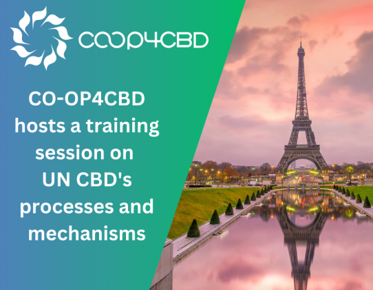 Featured image for CO-OP4CBD hosts a Central and Eastern European countries regional training session on UN CBD's processes and mechanisms in Paris