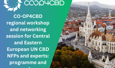 Featured image for Upcoming CO-OP4CBD regional workshop and networking session for Central and Eastern European UN CBD NFPs and biodiversity experts: programme and speakers
