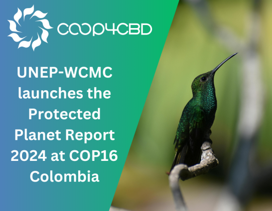 Featured image for UNEP-WCMC launches the Protected Planet Report 2024 at COP16 Colombia