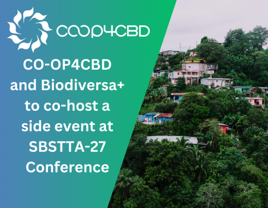 Featured image for CO-OP4CBD and Biodiversa+ to co-host a side event at SBSTTA-27 Conference