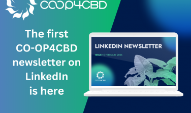 Featured image for The first CO-OP4CBD LinkedIn newsletter is here!