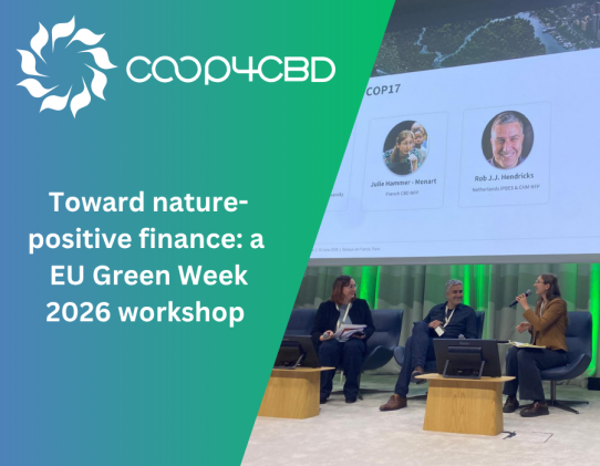 Featured image for Toward nature-positive finance: a EU Green Week 2026 workshop