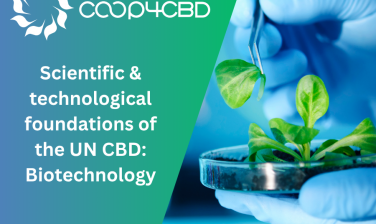 Featured image for Scientific and Technological Foundations of the UN CBD: Biotechnology