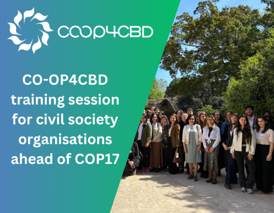 Featured image for CO-OP4CBD training session for civil society organisations ahead of COP17