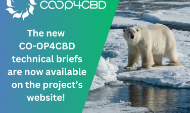 Featured image for The new CO-OP4CBD technical briefs are now available on the project’s website!