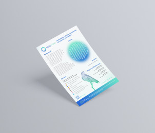 One-pager preview image