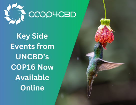 Featured image for Key Side Events from UNCBD’s COP16 Now Available Online: Discussion on the Role of the Science-Policy Interface in Biodiversity