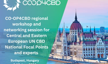 Featured image for Upcoming CO-OP4CBD regional workshop and networking session for CEE UN CBD National Focal Points and experts