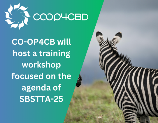 Featured image for CO-OP4CB will host a training workshop focused on the agenda of SBSTTA-25