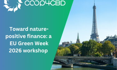 Featured image for Toward nature-positive finance: a EU Green Week 2026 workshop