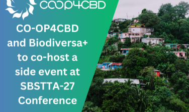 Featured image for CO-OP4CBD and Biodiversa+ to co-host a side event at SBSTTA-27 Conference